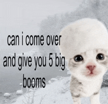 a picture of a kitten with the words " can i come over and give you 5 big booms " above it