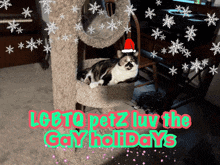 a cat wearing a santa hat is on a cat tree