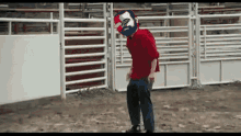 a man in a red shirt is standing in front of a rodeo fence with a mask on his head .