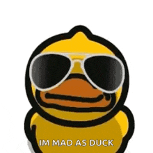 Duck Angry GIF - Duck Angry Pissed Off GIFs
