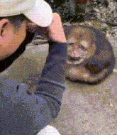 a person taking a picture of a cat with a white hat