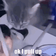 Ok I Pull Up Cat GIF - Ok I Pull Up Cat Sushi GIFs