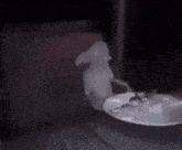a ghost is visible in the dark behind a plate of food .