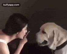 Every Dog Has A Day.Gif GIF