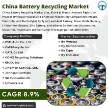 China Battery Recycling Market GIF - China Battery Recycling Market GIFs