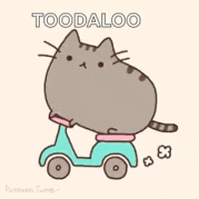Driving Cats GIF - Driving Cats Funny GIFs