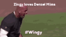 Zingy Wingy GIF