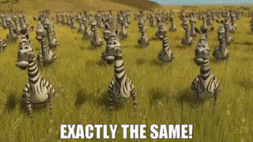 madagascar-zebras.gif