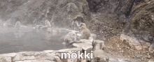Mökki Suomi GIF - Mökki Suomi GIFs