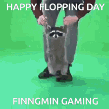 Flopping Jump GIF - Flopping Jump Raccoon GIFs