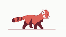 Panda Rojo GIF - Panda Rojo GIFs