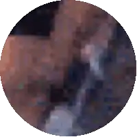a circle with a blurred image of a person in it