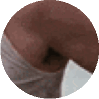 a close up of a chocolate cake with a slice missing