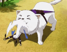 Sadaharu Gintama GIF - Sadaharu Gintama Dog GIFs