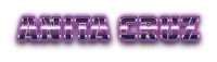 the name anita cruz is displayed in purple letters on a white background