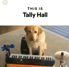 dog hall