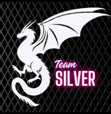 Team Silver GIF