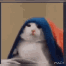 Cat Blanket Cat GIF - Cat Blanket Cat GIFs
