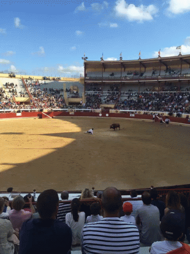 bullfighting corrida