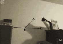 a cat is standing on a shelf in front of a wall with a drawing of a triangle on it .