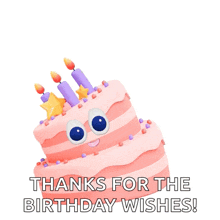 a pink birthday cake with candles and sprinkles and the words thanks for the birthday wishes