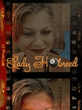 Ladyhbreed GIF - Ladyhbreed GIFs