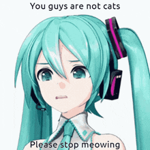 a picture of hatsune miku with the words " you guys are not cats please stop meowing " below her