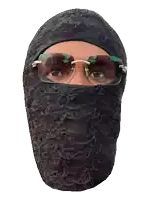 a person wearing sunglasses and a black mask on their head