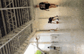 Bitnatog GIF