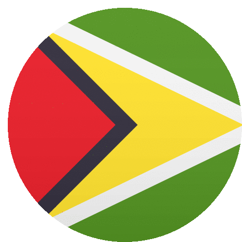 Guyana Flags Sticker - Guyana Flags Joypixels Stickers