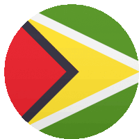 Guyana Flags Sticker - Guyana Flags Joypixels Stickers