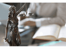 Commercial Litigation Lawyer Litigation Lawyers In Sydney GIF