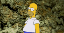 Weed Simpsons GIF - Weed Simpsons Homer GIFs