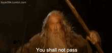You. Shall. Not. Pass. GIF - You Shall Not Pass Lord Of The Ring GIFs