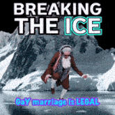 a poster that says breaking the ice gay marriage is legal on it
