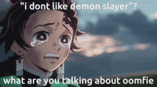 Demon Slayer Demon Slayer Memes GIF