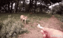 Feed Eat This GIF - Feed Eat This Take This GIFs