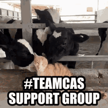 Teamcas Teamcasper GIF - Teamcas Teamcasper Teamcas Support Group GIFs