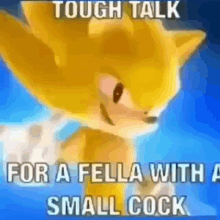 Small Chicken Tough Talk For A Fella With A Small Cock GIF - Small Chicken Tough Talk For A Fella With A Small Cock Sonic GIFs