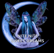 Sweet Dreams Nite Nite GIF - Sweet Dreams Nite Nite Fairies GIFs