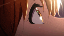 a close up of a girl 's eye with a reflection of the sun