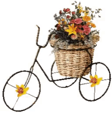 Bicycle Basket GIF - Bicycle Basket Flowers GIFs