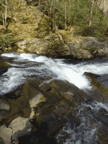 Relaxing Nature GIF - Relaxing Nature Stream GIFs