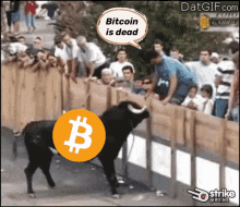 Bitcoin Is Dead Rd_btc GIF - Bitcoin Is Dead Rd_btc Bitcoin GIFs