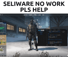 a screenshot of a video game with the words selware no work pls help