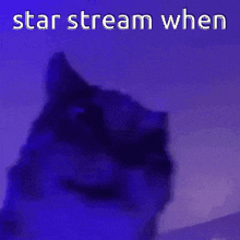Star Stream When Starmaynn GIF - Star Stream When Star Stream Starmaynn GIFs
