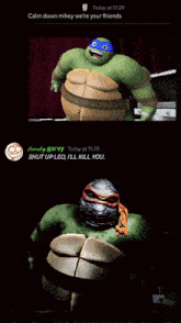 Tmnt Mikey GIF - Tmnt Mikey Fat GIFs