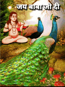 jaibabedi balaknath ashwani sharma gif peacock