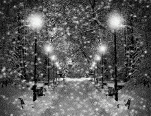 a black and white photo of a snowy park with snow falling