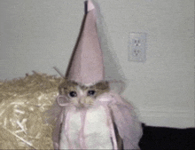 Cat Wizard Cat GIF - Cat Wizard Cat GIFs